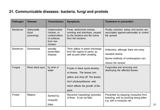 21. Communicable diseases: bacteria, fungi and protists
Pathogen Disease Transmission Symptoms Treatment or prevention
Bacterium Salmonella
(food
poisoning)
Undercooked
chicken, or
contamination
of surfaces
from raw
chicken
Fever, abdominal cramps,
vomiting and diarrhoea, caused
by the bacteria and the toxins
from the bacteria.
Poultry (chicken, turkey and ducks) are
vaccinated against salmonella to control
the spread
Bacterium Gonorrhoea sexually
transmitted
disease
Thick yellow or green discharge
from the vagina or penis; as
well as pain when urinating.
Antibiotics, although there are many
resistant strains.
Barrier methods of contraception can
reduce the spread.
Fungus Rose black spot by wind or
water
Purple or black spots develop
on leaves. The leaves turn
yellow and drop off. The leaves
don’t photosynthesise well,
which affects the growth of the
plant.
Fungicides and removing and
destroying the affected leaves.
Protist Malaria Spread by
mosquito
bites.
Recurrent (repeating) episodes
of fever. It can be fatal.
Prevented by stopping mosquitos from
breeding, and by avoiding being bitten
e.g. with a mosquito net.
21
 