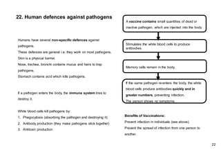 22. Human defences against pathogens
If a pathogen enters the body, the immune system tries to
destroy it.
White blood cells kill pathogens by:
1. Phagocytosis (absorbing the pathogen and destroying it)
2. Antibody production (they make pathogens stick together)
3. Antitoxin production
Humans have several non-specific defences against
pathogens.
These defences are general i.e. they work on most pathogens.
Skin is a physical barrier.
Nose, trachea, bronchi contains mucus and hairs to trap
pathogens.
Stomach contains acid which kills pathogens.
Benefits of Vaccinations:
Prevent infection in individuals (see above).
Prevent the spread of infection from one person to
another.
A vaccine contains small quantities of dead or
inactive pathogen, which are injected into the body
Stimulates the white blood cells to produce
antibodies.
Memory cells remain in the body.
If the same pathogen re-enters the body, the white
blood cells produce antibodies quickly and in
greater numbers, preventing infection.
The person shows no symptoms.
22
 