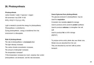 26. Photosynthesis
Photosynthesis
carbon dioxide + water → glucose + oxygen
We remember it as COW → GO
6CO2 + 6H2O → C6H1206 + 6O2
Light is needed to provide the energy for photosynthesis.
Photosynthesis is endothermic.
During photosynthesis, energy is transferred from the
environment to chloroplasts.
Rate of photosynthesis
The rate of photosynthesis is increased when:
The light intensity increases
The carbon dioxide concentration increases
The amount of chlorophyll increases
The temperature increases*
*if the temperature increases too much, enzymes that control
photosynthesis are denatured, and the rate decreases.
Uses of glucose from photosynthesis
The glucose produced in photosynthesis may be:
Used for respiration
Converted into insoluble starch for storage
Used to produce amino acids for protein synthesis
Used to produce cellulose, to strengthen the cell
wall
Used to produce fat or oil for storage
(RSPCF)
To produce amino acids, plants also use nitrate ions.
Nitrate ions are absorbed from the soil.
They are absorbed by root hair cells by active
transport.
26
 