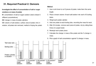 31. Required Practical 2: Osmosis
Method
1. Use a cork borer to cut 5 pieces of potato; make them the same
length.
2. Place a known volume of each salt solution into each of 5 boiling
tubes.
3. Weigh each potato cylinder.
4. Add one potato to each boiling tube, recording the mass for each.
5. After 30 minutes, remove each piece of potato; dry by rolling three
times on a paper towel.
6. Reweigh each potato piece.
7. Calculate the change in mass of the potato and the % change in
mass.
8. Plot a graph of salt concentration against % change in mass.
Investigate the effect of concentration of salt or sugar
solutions on mass of potato
IV: concentration of salt (or sugar) solution (need at least 5
different concentrations)
DV: change in mass of potato cylinders
CV: volume of salt solution; surface area of potato; time in
solution; all potato skin removed; method of drying the potato
31
 