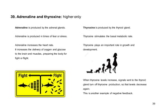 Adrenaline is produced by the adrenal glands.
Adrenaline is produced in times of fear or stress.
Adrenaline increases the heart rate.
It increases the delivery of oxygen and glucose
to the brain and muscles, preparing the body for
fight or flight.
Thyroxine is produced by the thyroid gland.
Thyroxine stimulates the basal metabolic rate.
Thyroxine plays an important role in growth and
development.
When thyroxine levels increase, signals sent to the thyroid
gland turn off thyroxine production, so that levels decrease
again.
This is another example of negative feedback.
39. Adrenaline and thyroxine: higher only
39
 