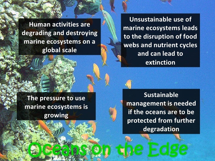 GCSE Geography Promotion