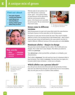 E          A unique mix of genes
                                                 Will this baby be tall and have red
         Find out about                          hair? Will she have a talent for
                                                 music, sport – even science?! Most
          how pairs of genes
                                                 of these features will be affected by
           control some features
                                                 both her environment and her
          cystic fibrosis (an
                                                 genes. A few features are controlled
           inherited illness)
                                                 by just one gene. We can understand
          testing a baby’s genes
                                                 these more easily.
           before they are born                                                                  This baby has inherited a unique
                                                                                                 mix of genetic information.
                                                 Genes come in different
                                                 versions
                                                 Both chromosomes in a pair carry genes that control the same features.
                                                 Each pair of genes is in the same place on the chromosomes.

                                                 But genes in a pair may not be exactly the same. They may be slightly
                                                 different versions. You can think about it like football strips – often a team’s
                                                 home and away strips are both based on the same pattern, but they’re
                                                 slightly different. Different versions of the same genes are called alleles.


                                                 Dominant alleles – they’re in charge
                                                 The gene that controls dimples has two alleles. The D allele gives you
                                                 dimples. The d allele won’t cause dimples. The alleles you inherit is
         Key words                               called your genotype.
          alleles    phenotype
                                                 Your phenotype is what you look like, eg dimples or no dimples, your
          dominant  genotype
                                                 characteristics.
          recessive
                                                 The D allele is dominant. You only need one copy of a dominant allele to
                                                 have its feature. The d allele is recessive. You must have two copies of a
                                                 recessive allele to have its feature – in this case no dimples.


                                                 Which alleles can a person inherit?
                This diagram shows one pair of   Sex cells get one chromosome from each pair the parent has. So they
                chromosomes. The gene            only have one allele from each pair. If a parent has two D or two d alleles,
                controlling dimples is
                coloured in.                     they can only pass on a D or a d allele to their children.

                       dimples                                     no dimples                                  dimples


                        D   D                                         d   d                                     D   d




         This person inherited a d allele from     This person inherited a d allele from      This person inherited one d and one d
         both parents. They have dimples.          both parents. They don’t have dimples.     allele. They have dimples.




    24
 