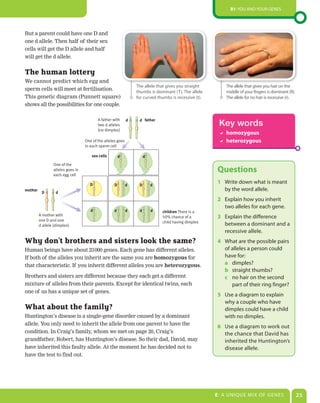 B1: You and Your genes




But a parent could have one D and
one d allele. Then half of their sex
cells will get the D allele and half
will get the d allele.


The human lottery
We cannot predict which egg and
                                                                 The allele that gives you straight       The allele that gives you hair on the
sperm cells will meet at fertilisation.                          thumbs is dominant (T). The allele       middle of your fingers is dominant (r).
This genetic diagram (Punnett square)                            for curved thumbs is recessive (t).      The allele for no hair is recessive (r).
shows all the possibilities for one couple.

                                          A father with           d father
                                          two d alleles
                                                             d
                                                                                                        Key words
                                          (no dimples)
                                                                                                         homozygous
                                   One of the alleles goes                                               heterozygous
                                   in each sperm cell

                                      sex cells         d             d
                 One of the
                 alleles goes in
                 each egg cell
                                                                                                       Questions
                                     D              D        d    D       d
                                                                                                       1 Write down what is meant
mother                                                                                                   by the word allele.
          D        d
                                                                                                       2 explain how you inherit
                                                                                                         two alleles for each gene.
                                      d             d        d    d       d   children There is a
         A mother with                                                        50% chance of a          3 explain the difference
         one D and one                                                        child having dimples
         d allele (dimples)                                                                              between a dominant and a
                                                                                                         recessive allele.
Why don’t brothers and sisters look the same?                                                          4 What are the possible pairs
Human beings have about 23 000 genes. Each gene has different alleles.                                   of alleles a person could
If both of the alleles you inherit are the same you are homozygous for                                   have for:
that characteristic. If you inherit different alleles you are heterozygous.                              a dimples?
                                                                                                         b straight thumbs?
Brothers and sisters are different because they each get a different                                     c no hair on the second
mixture of alleles from their parents. Except for identical twins, each                                     part of their ring finger?
one of us has a unique set of genes.
                                                                                                       5 use a diagram to explain
                                                                                                         why a couple who have
What about the family?                                                                                   dimples could have a child
Huntington’s disease is a single-gene disorder caused by a dominant                                      with no dimples.
allele. You only need to inherit the allele from one parent to have the
                                                                                                       6 use a diagram to work out
condition. In Craig’s family, whom we met on page 20, Craig’s                                            the chance that david has
grandfather, Robert, has Huntington’s disease. So their dad, David, may                                  inherited the Huntington’s
have inherited this faulty allele. At the moment he has decided not to                                   disease allele.
have the test to find out.




                                                                                                       E: a unIQue MIX oF genes                      25
 