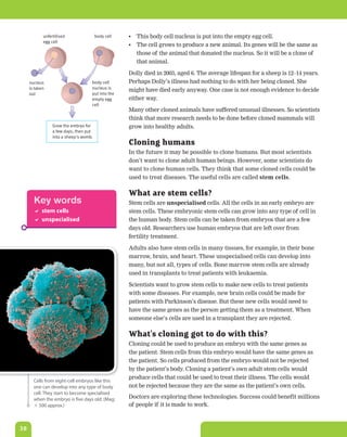 unfertilised                body cell   •	 This body cell nucleus is put into the empty egg cell.
            egg cell
                                                    •	 The cell grows to produce a new animal. Its genes will be the same as
                                                       those of the animal that donated the nucleus. So it will be a clone of
                                                       that animal.

                                                    Dolly died in 2003, aged 6. The average lifespan for a sheep is 12–14 years.
     nucleus                        body cell       Perhaps Dolly’s illness had nothing to do with her being cloned. She
     is taken                       nucleus is
                                                    might have died early anyway. One case is not enough evidence to decide
     out                            put into the
                                    empty egg       either way.
                                    cell
                                                    Many other cloned animals have suffered unusual illnesses. So scientists
                                                    think that more research needs to be done before cloned mammals will
                 Grow the embryo for                grow into healthy adults.
                 a few days, then put
                 into a sheep's womb.
                                                    Cloning humans
                                                    In the future it may be possible to clone humans. But most scientists
                                                    don’t want to clone adult human beings. However, some scientists do
                                                    want to clone human cells. They think that some cloned cells could be
                                                    used to treat diseases. The useful cells are called stem	cells.

                                                    What are stem cells?
       Key words                                    Stem cells are unspecialised cells. All the cells in an early embryo are
        stem cells                                 stem cells. These embryonic stem cells can grow into any type of cell in
        unspecialised                              the human body. Stem cells can be taken from embryos that are a few
                                                    days old. Researchers use human embryos that are left over from
                                                    fertility treatment.

                                                    Adults also have stem cells in many tissues, for example, in their bone
                                                    marrow, brain, and heart. These unspecialised cells can develop into
                                                    many, but not all, types of cells. Bone marrow stem cells are already
                                                    used in transplants to treat patients with leukaemia.

                                                    Scientists want to grow stem cells to make new cells to treat patients
                                                    with some diseases. For example, new brain cells could be made for
                                                    patients with Parkinson’s disease. But these new cells would need to
                                                    have the same genes as the person getting them as a treatment. When
                                                    someone else’s cells are used in a transplant they are rejected.

                                                    What’s cloning got to do with this?
                                                    Cloning could be used to produce an embryo with the same genes as
                                                    the patient. Stem cells from this embryo would have the same genes as
                                                    the patient. So cells produced from the embryo would not be rejected
                                                    by the patient’s body. Cloning a patient’s own adult stem cells would
                                                    produce cells that could be used to treat their illness. The cells would
       Cells from eight-cell embryos like this
       one can develop into any type of body        not be rejected because they are the same as the patient’s own cells.
       cell. They start to become specialised
       when the embryo is five days old. (Mag:      Doctors are exploring these technologies. Success could benefit millions
       ϫ 500 approx.)                               of people if it is made to work.



38
 