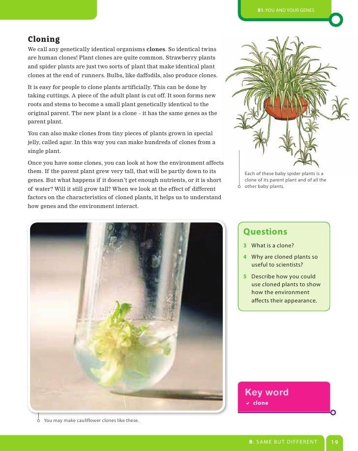 Aqa biology gcse coursework
