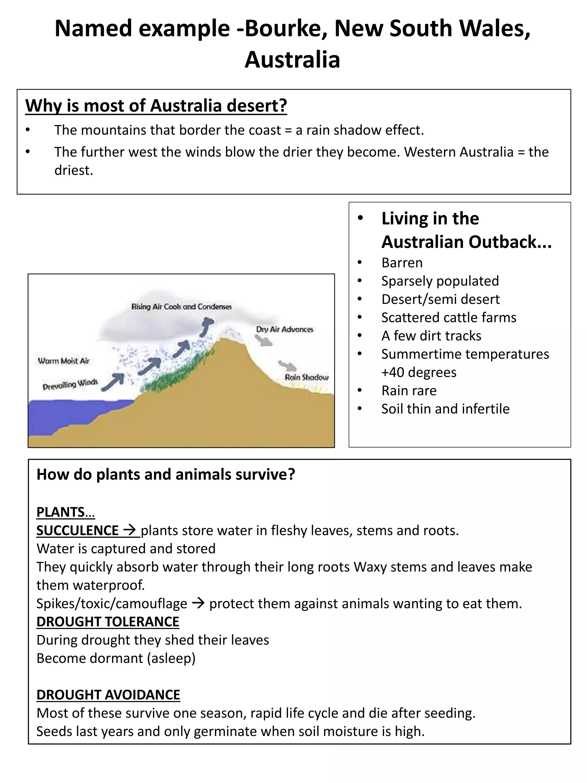 Named example -Bourke, New South Wales,
Australia
Why is most of Australia desert?
• The mountains that border the coast = a rain shadow effect.
• The further west the winds blow the drier they become. Western Australia = the
driest.
• Living in the
Australian Outback...
• Barren
• Sparsely populated
• Desert/semi desert
• Scattered cattle farms
• A few dirt tracks
• Summertime temperatures
+40 degrees
• Rain rare
• Soil thin and infertile
How do plants and animals survive?
PLANTS…
SUCCULENCE  plants store water in fleshy leaves, stems and roots.
Water is captured and stored
They quickly absorb water through their long roots Waxy stems and leaves make
them waterproof.
Spikes/toxic/camouflage  protect them against animals wanting to eat them.
DROUGHT TOLERANCE
During drought they shed their leaves
Become dormant (asleep)
DROUGHT AVOIDANCE
Most of these survive one season, rapid life cycle and die after seeding.
Seeds last years and only germinate when soil moisture is high.
 
