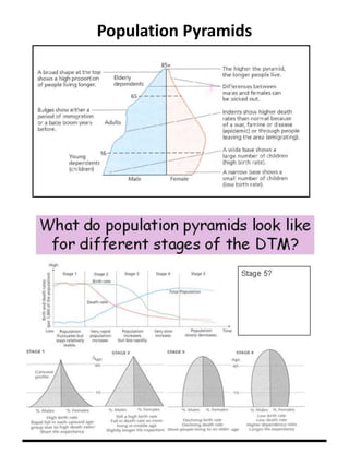 Population Pyramids
 
