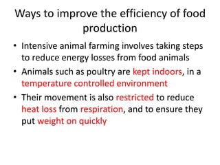 Ways to improve the efficiency of food
            production
• Intensive animal farming involves taking steps
  to reduce energy losses from food animals
• Animals such as poultry are kept indoors, in a
  temperature controlled environment
• Their movement is also restricted to reduce
  heat loss from respiration, and to ensure they
  put weight on quickly
 