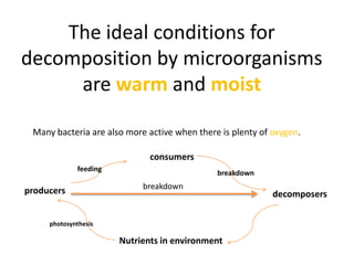 The ideal conditions for
decomposition by microorganisms
     are warm and moist

 Many bacteria are also more active when there is plenty of oxygen.

                              consumers
             feeding
                                              breakdown
                            breakdown
producers                                                   decomposers

     photosynthesis

                       Nutrients in environment
 