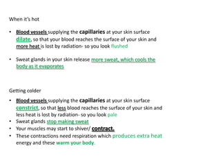 When it’s hot

• Blood vessels supplying the capillaries at your skin surface
  dilate, so that your blood reaches the surface of your skin and
  more heat is lost by radiation- so you look flushed

• Sweat glands in your skin release more sweat, which cools the
  body as it evaporates



Getting colder
• Blood vessels supplying the capillaries at your skin surface
  constrict, so that less blood reaches the surface of your skin and
  less heat is lost by radiation- so you look pale
• Sweat glands stop making sweat
• Your muscles may start to shiver/ contract.
• These contractions need respiration which produces extra heat
  energy and these warm your body.
 