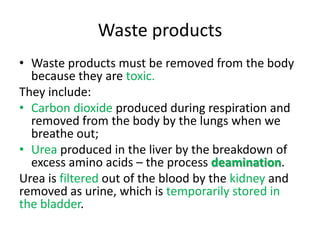 Waste products
• Waste products must be removed from the body
  because they are toxic.
They include:
• Carbon dioxide produced during respiration and
  removed from the body by the lungs when we
  breathe out;
• Urea produced in the liver by the breakdown of
  excess amino acids – the process deamination.
Urea is filtered out of the blood by the kidney and
removed as urine, which is temporarily stored in
the bladder.
 