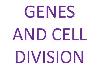 GENES
AND CELL
DIVISION
 