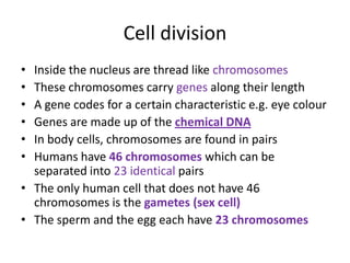 Cell division
• Inside the nucleus are thread like chromosomes
• These chromosomes carry genes along their length
• A gene codes for a certain characteristic e.g. eye colour
• Genes are made up of the chemical DNA
• In body cells, chromosomes are found in pairs
• Humans have 46 chromosomes which can be
  separated into 23 identical pairs
• The only human cell that does not have 46
  chromosomes is the gametes (sex cell)
• The sperm and the egg each have 23 chromosomes
 