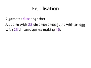 Fertilisation
2 gametes fuse together
A sperm with 23 chromosomes joins with an egg
with 23 chromosomes making 46.
 
