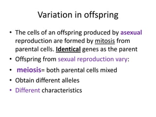 Variation in offspring
• The cells of an offspring produced by asexual
  reproduction are formed by mitosis from
  parental cells. Identical genes as the parent
• Offspring from sexual reproduction vary:
• meiosis= both parental cells mixed
• Obtain different alleles
• Different characteristics
 