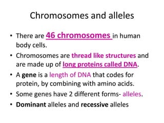 Chromosomes and alleles
• There are 46 chromosomes in human
  body cells.
• Chromosomes are thread like structures and
  are made up of long proteins called DNA.
• A gene is a length of DNA that codes for
  protein, by combining with amino acids.
• Some genes have 2 different forms- alleles.
• Dominant alleles and recessive alleles
 