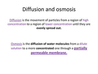 Diffusion and osmosis
 Diffusion is the movement of particles from a region of high
concentration to a region of lower concentration until they are
                      evenly spread out.



  Osmosis is the diffusion of water molecules from a dilute
  solution to a more concentrated one through a partially
                 permeable membrane.
 