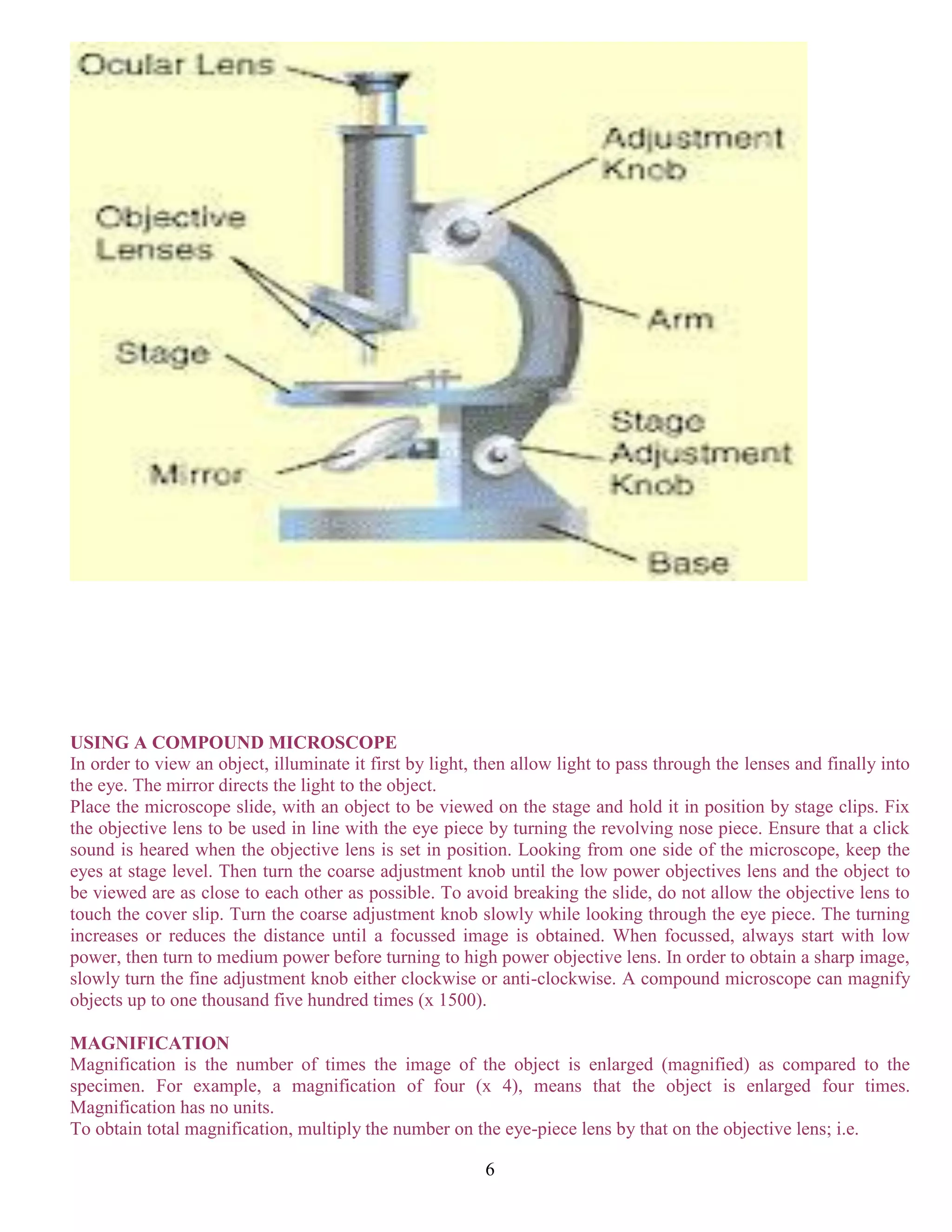 Multiplying Lens ZASE BIOLOGY TEXTBOOK GRADE 10-12 | PDF