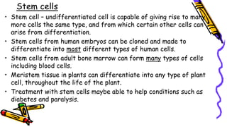 Stem cells
• Stem cell – undifferentiated cell is capable of giving rise to many
more cells the same type, and from which certain other cells can
arise from differentiation.
• Stem cells from human embryos can be cloned and made to
differentiate into most different types of human cells.
• Stem cells from adult bone marrow can form many types of cells
including blood cells.
• Meristem tissue in plants can differentiate into any type of plant
cell, throughout the life of the plant.
• Treatment with stem cells maybe able to help conditions such as
diabetes and paralysis.
 