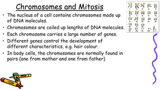 Chromosomes and Mitosis
• The nucleus of a cell contains chromosomes made up
of DNA molecules.
• Chromosomes are coiled up lengths of DNA molecules.
• Each chromosome carries a large number of genes.
• Different genes control the development of
different characteristics, e.g. hair colour.
• In body cells, the chromosomes are normally found in
pairs (one from mother and one from father)
 