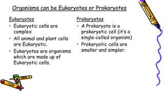 Organisms can be Eukaryotes or Prokaryotes
Eukaryotes
• Eukaryotic cells are
complex
• All animal and plant cells
are Eukaryotic.
• Eukaryotes are organisms
which are made up of
Eukaryotic cells.
Prokaryotes
• A Prokaryote is a
prokaryotic cell (it’s a
single-celled organism)
• Prokaryotic cells are
smaller and simpler.
 