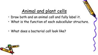 Animal and plant cells
• Draw both and an animal cell and fully label it.
• What is the function of each subcellular structure.
• What does a bacterial cell look like?
 