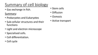 Summary of cell biology
• Gas exchange in fish.
Summary:
• Prokaryotes and Eukaryotes
• Sub-cellular structures and their
functions
• Light and electron microscope
• Specialised cells.
• Cell differentiation.
• Cell cycle
• Stem cells
• Diffusion
• Osmosis
• Active transport
 
