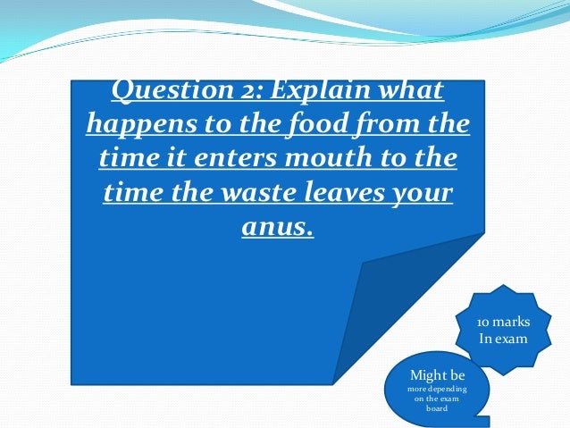 Gcse Digestion System Q A With Exam Guids