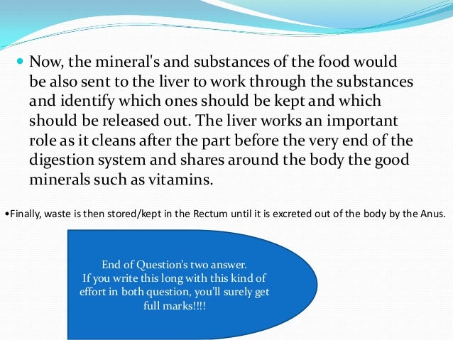 Gcse Digestion System Q A With Exam Guids