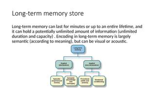 gcse edexcel memory topic overview powerpoint | PPTX