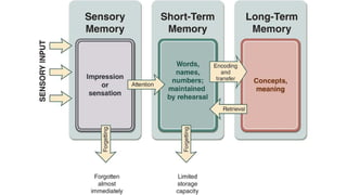 gcse edexcel memory topic overview powerpoint | PPTX