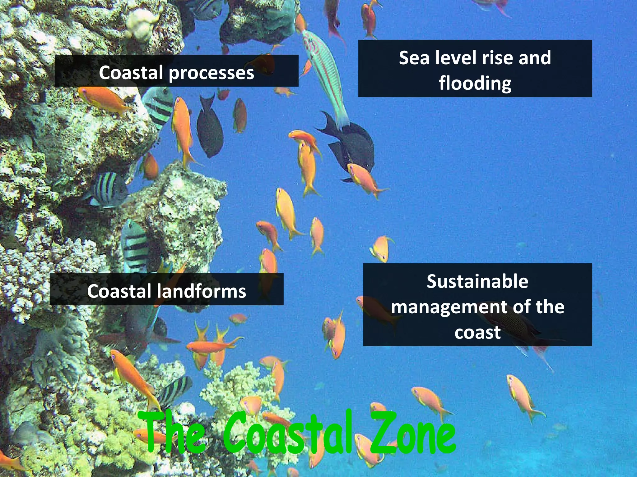 Gcse geography for plasma | PPT