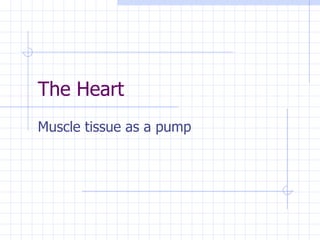 The Heart  Muscle tissue as a pump 