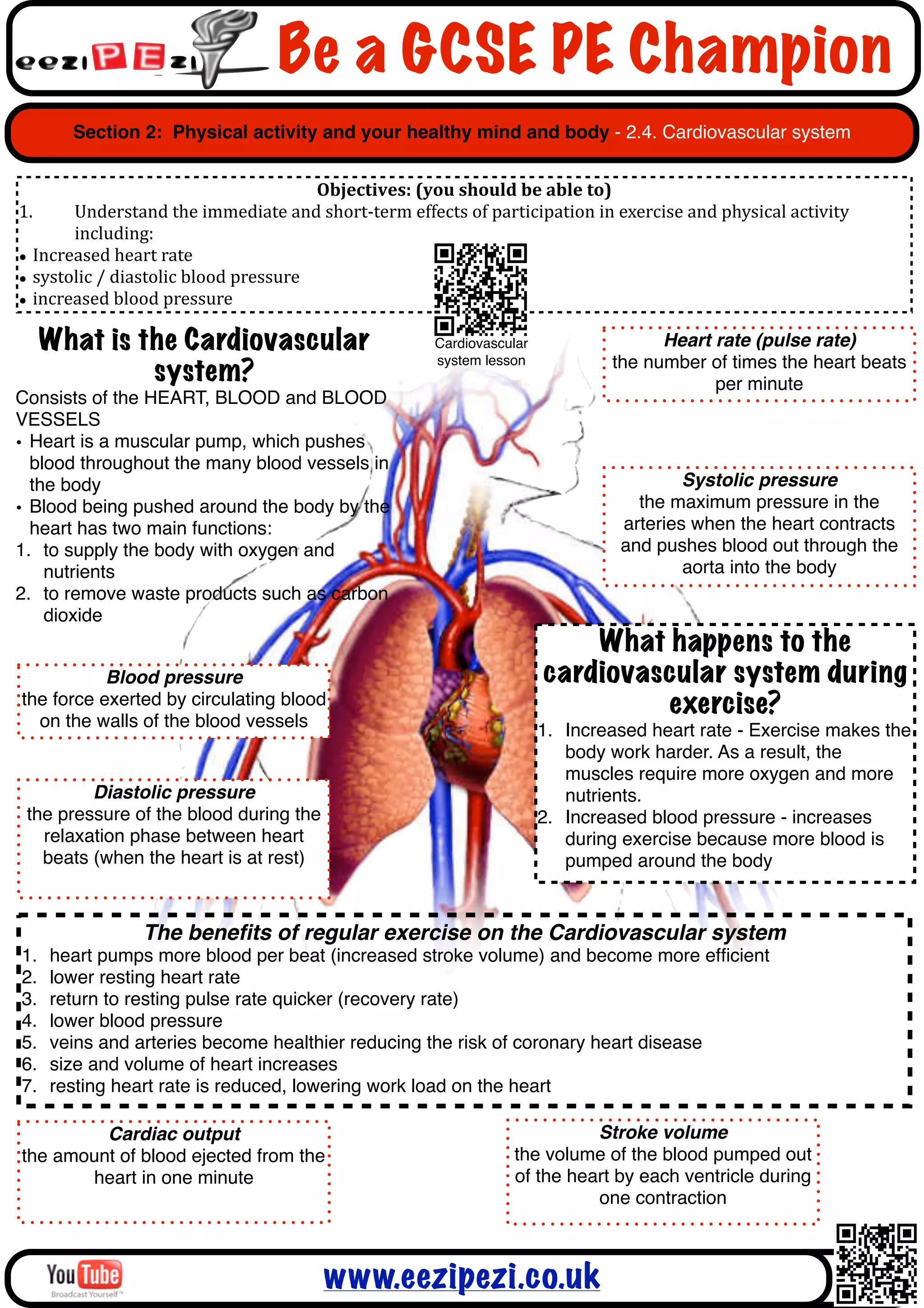 Be a GCSE PE Champion
         Section 2: Physical activity and your healthy mind and body - 2.4. Cardiovascular system


                                                  Objectives:	
  (you	
  should	
  be	
  able	
  to)
1.     Understand	
  the	
  immediate	
  and	
  short-­‐term	
  effects	
  of	
  participation	
  in	
  exercise	
  and	
  physical	
  activity	
  
       including:
• Increased	
  heart	
  rate
• systolic	
  /	
  diastolic	
  blood	
  pressure
• increased	
  blood	
  pressure

     What is the Cardiovascular                                          Cardiovascular                       Heart rate (pulse rate)
                                                                         system lesson                  the number of times the heart beats
              system?                                                                                               per minute
Consists of the HEART, BLOOD and BLOOD
VESSELS
• Heart is a muscular pump, which pushes
  blood throughout the many blood vessels in
  the body                                                                                                        Systolic pressure
• Blood being pushed around the body by the                                                                 the maximum pressure in the
  heart has two main functions:                                                                           arteries when the heart contracts
1. to supply the body with oxygen and                                                                     and pushes blood out through the
    nutrients                                                                                                     aorta into the body
2. to remove waste products such as carbon
    dioxide
                                                                                                What happens to the
           Blood pressure                                                                   cardiovascular system during
the force exerted by circulating blood                                                               exercise?
  on the walls of the blood vessels                                                        1. Increased heart rate - Exercise makes the
                                                                                              body work harder. As a result, the
                                                                                              muscles require more oxygen and more
         Diastolic pressure                                                                   nutrients.
 the pressure of the blood during the                                                      2. Increased blood pressure - increases
   relaxation phase between heart                                                             during exercise because more blood is
   beats (when the heart is at rest)                                                          pumped around the body


                     The beneﬁts of regular exercise on the Cardiovascular system
1.   heart pumps more blood per beat (increased stroke volume) and become more efﬁcient
2.   lower resting heart rate
3.   return to resting pulse rate quicker (recovery rate)
4.   lower blood pressure
5.   veins and arteries become healthier reducing the risk of coronary heart disease
6.   size and volume of heart increases
7.   resting heart rate is reduced, lowering work load on the heart

         Cardiac output                                                                          Stroke volume
the amount of blood ejected from the                                                   the volume of the blood pumped out
       heart in one minute                                                             of the heart by each ventricle during
                                                                                                 one contraction



                                                     www.eezipezi.co.uk
 