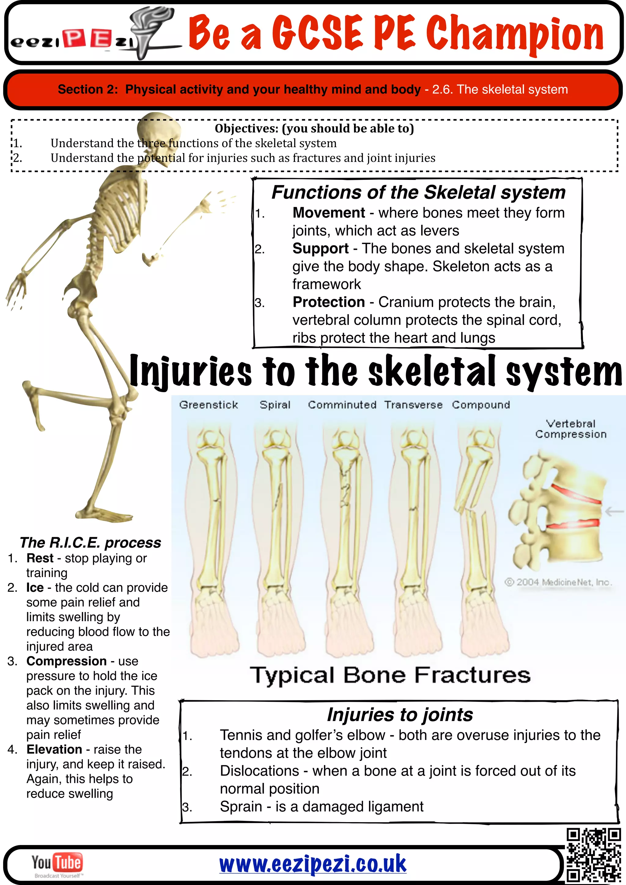 Be a GCSE PE Champion
        Section 2: Physical activity and your healthy mind and body - 2.6. The skeletal system


                                                  Objectives:	
  (you	
  should	
  be	
  able	
  to)
1.     Understand	
  the	
  three	
  functions	
  of	
  the	
  skeletal	
  system
2.     Understand	
  the	
  potential	
  for	
  injuries	
  such	
  as	
  fractures	
  and	
  joint	
  injuries

                                                                   Functions of the Skeletal system
                                                              1.        Movement - where bones meet they form
                                                                        joints, which act as levers
                                                              2.        Support - The bones and skeletal system
                                                                        give the body shape. Skeleton acts as a
                                                                        framework
                                                              3.        Protection - Cranium protects the brain,
                                                                        vertebral column protects the spinal cord,
                                                                        ribs protect the heart and lungs

                            Injuries to the skeletal system



 The R.I.C.E. process
1. Rest - stop playing or
   training
2. Ice - the cold can provide
   some pain relief and
   limits swelling by
   reducing blood ﬂow to the
   injured area
3. Compression - use
   pressure to hold the ice
   pack on the injury. This
   also limits swelling and
   may sometimes provide                                                         Injuries to joints
   pain relief                 1.                   Tennis and golfer’s elbow - both are overuse injuries to the
4. Elevation - raise the                            tendons at the elbow joint
   injury, and keep it raised.
                               2.                   Dislocations - when a bone at a joint is forced out of its
   Again, this helps to
   reduce swelling                                  normal position
                               3.                   Sprain - is a damaged ligament



                                                    www.eezipezi.co.uk
 