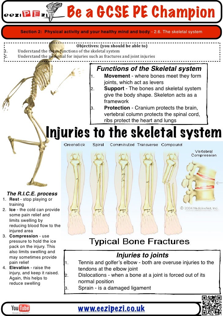 How does exercise help the skeletal system?
