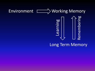 Working Memory
Long Term Memory
Learning
Remembering
Environment
 
