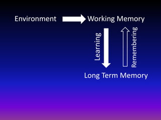 Working Memory
Long Term Memory
Learning
Remembering
Environment
 