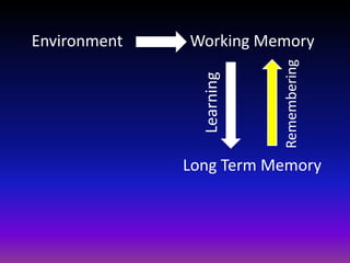 Working Memory
Long Term Memory
Learning
Remembering
Environment
 