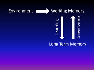 Working Memory
Long Term Memory
Learning
Remembering
Environment
 