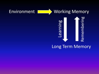 Working Memory
Long Term Memory
Learning
Remembering
Environment
 
