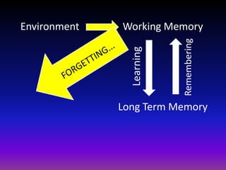 Working Memory
Long Term Memory
Learning
Remembering
Environment
 