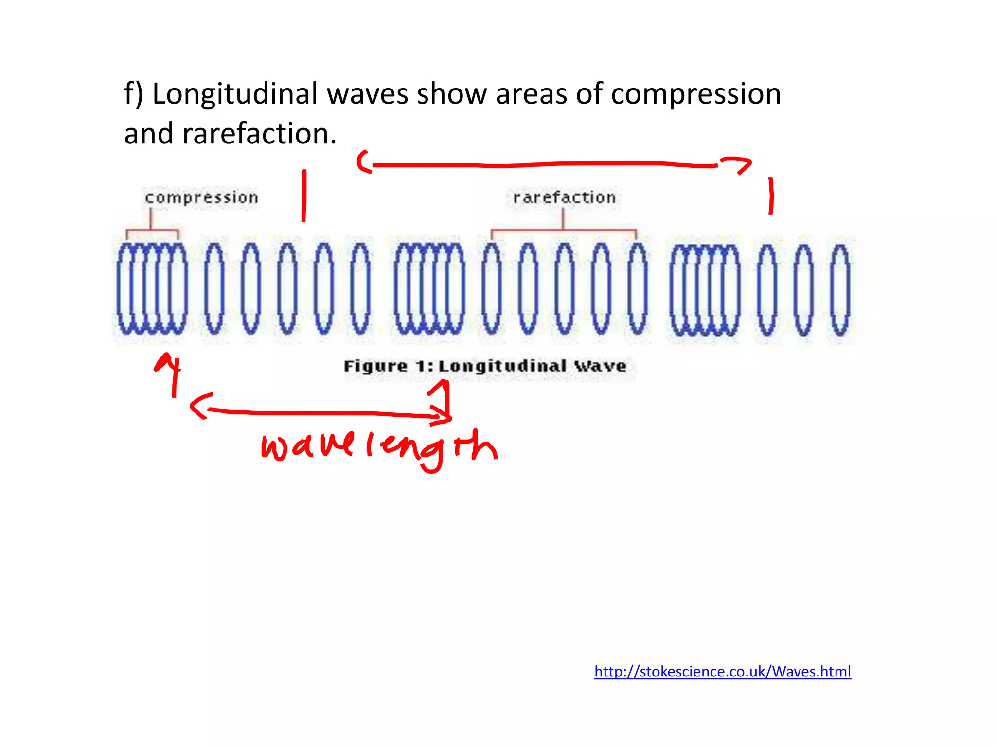 f) Longitudinal waves show areas of compression
and rarefaction.




                                 http://stokescience.co.uk/Waves.html
 