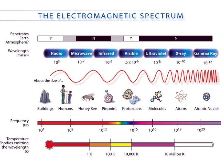 mechanical f wave waves science GCSE a (physics)
