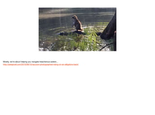 6
Mostly, we’re about helping you navigate treacherous waters…

http://petapixel.com/2015/06/15/raccoon-photographed-riding-on-an-alligators-back/
 
