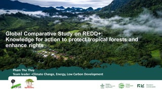 Global Comparative Study on REDD+:
Knowledge for action to protect tropical forests and
enhance rights
Pham Thu Thuy
Team leader –Climate Change, Energy, Low Carbon Development
 