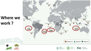 Global Comparative Study on REDD+: Knowledge for action to protect tropical forests and enhance rights
