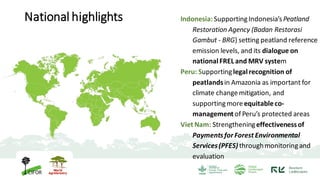Global Comparative Study on REDD+: Knowledge for action to protect tropical forests and enhance rights