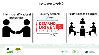 Global Comparative Study on REDD+: Knowledge for action to protect tropical forests and enhance rights